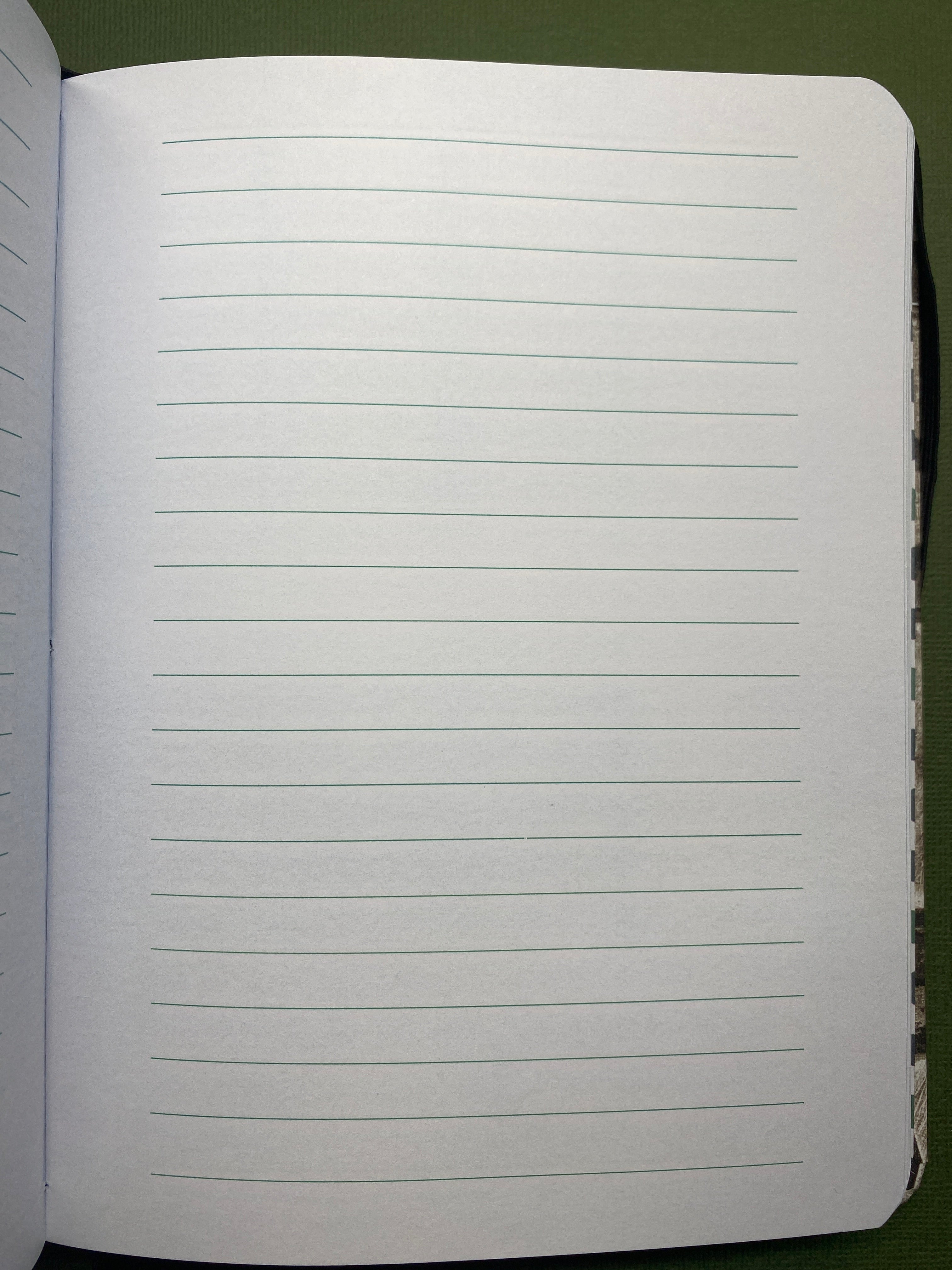 SCRIBBLE | The Lined Journal
