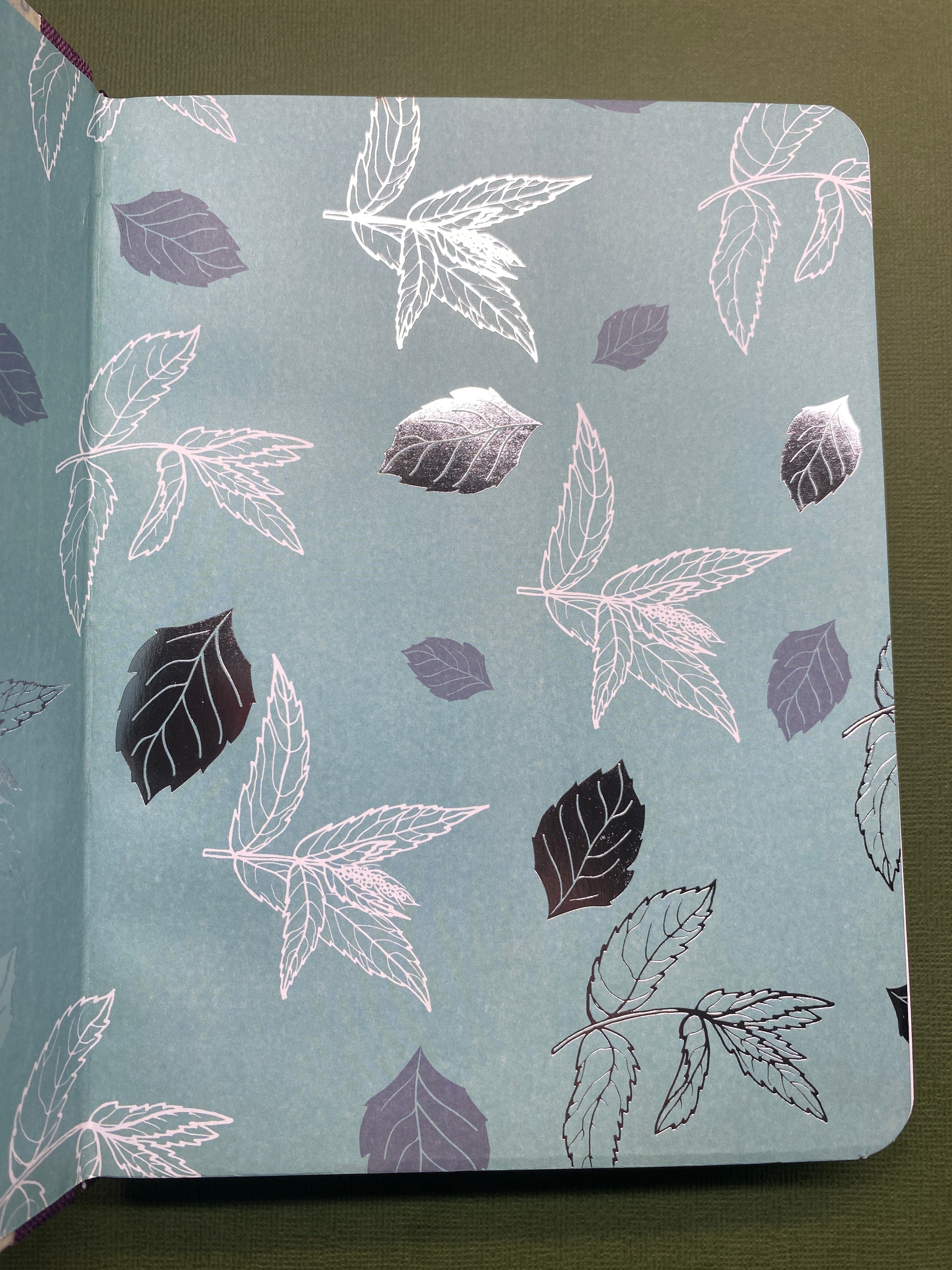 SCRIBBLE | The Lined Journal