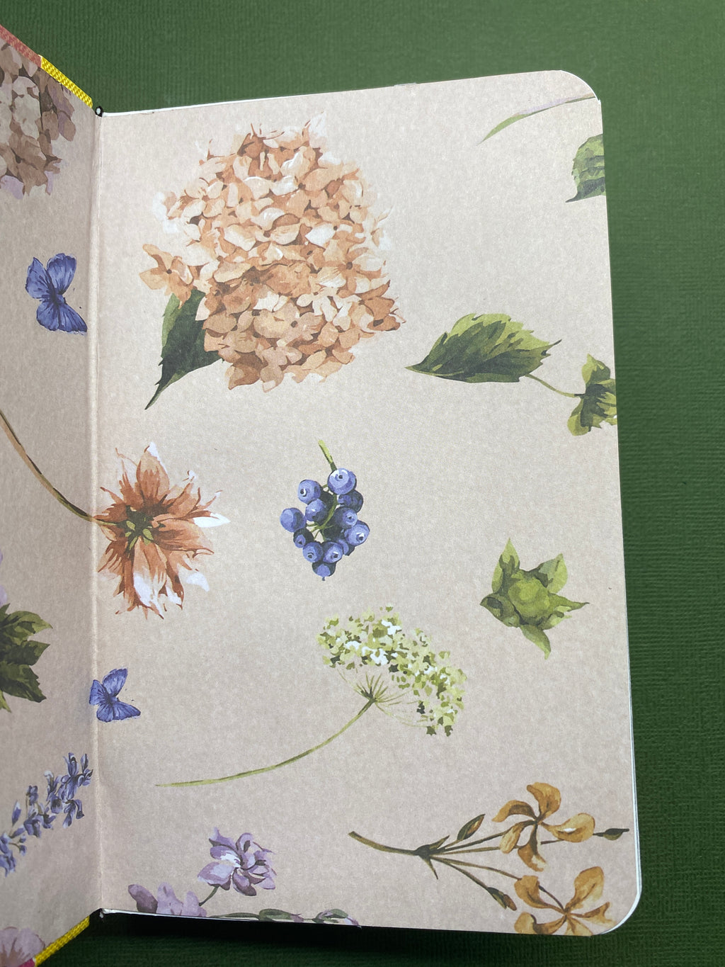 BRUSH | The Watercolour Journal