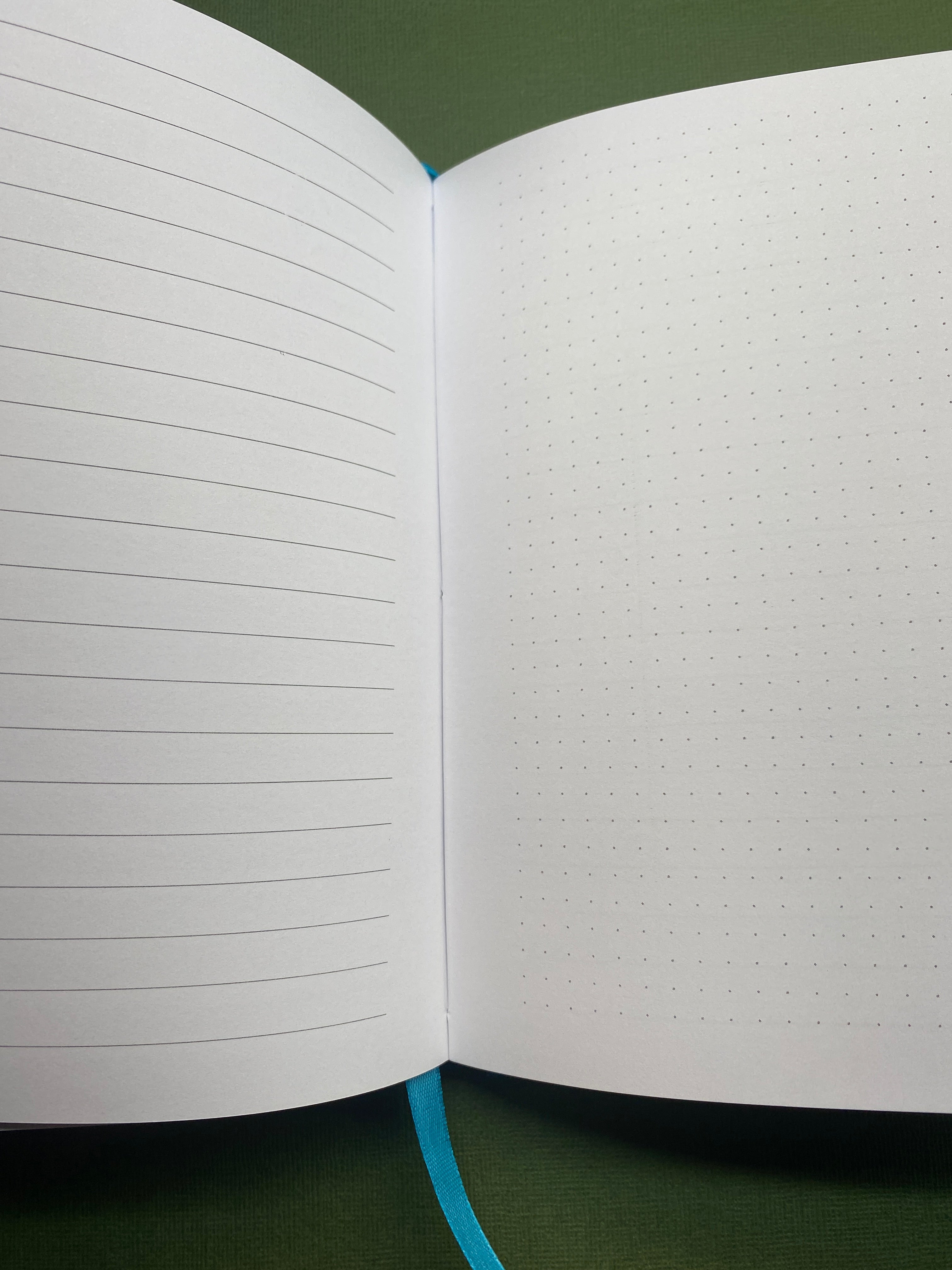 Open notebook with lined and dotted pages on a green background