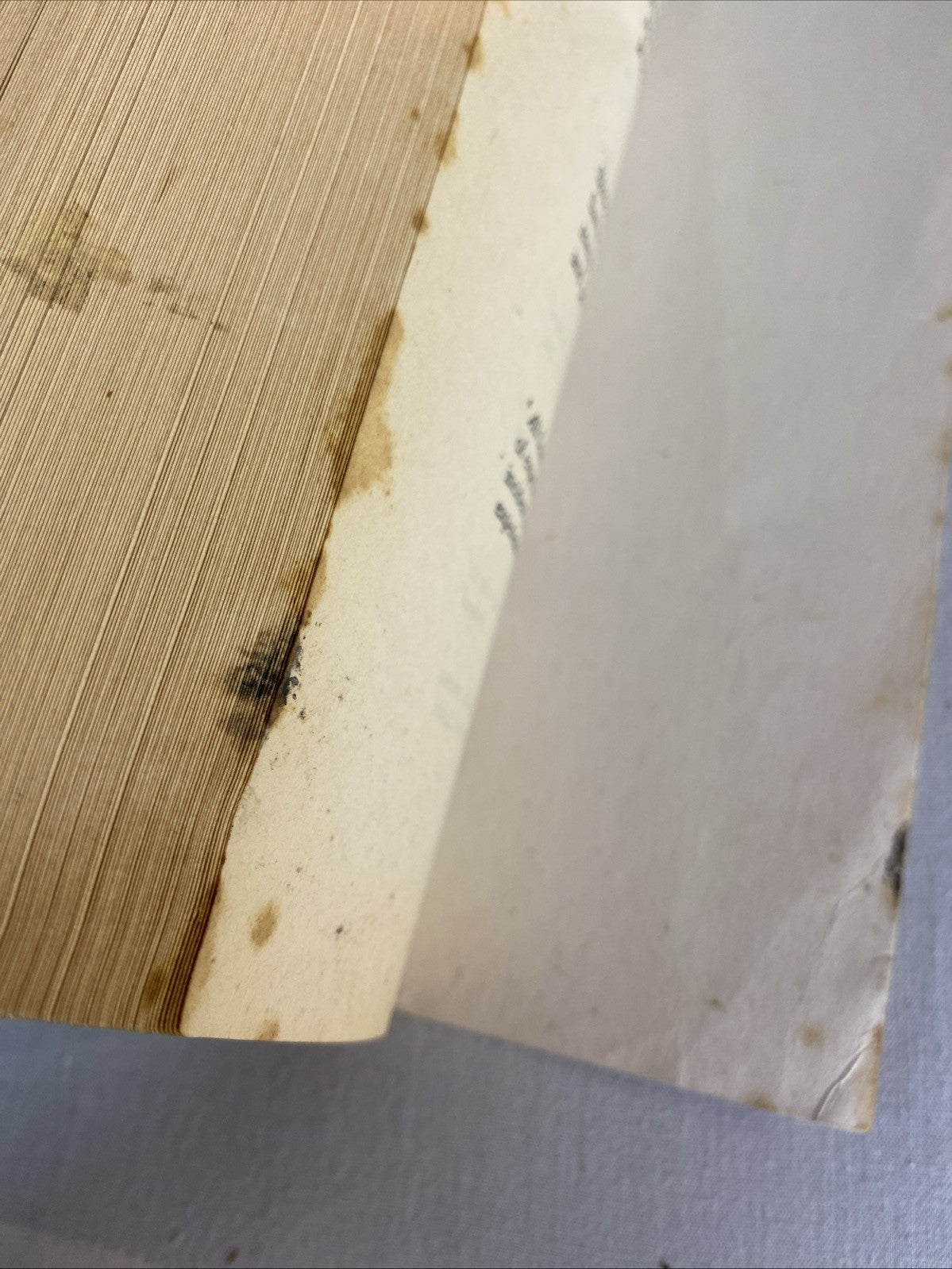 Memoirs of a Dutiful Daughter by Simone de Beauvoir