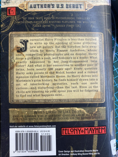 A Dark Dividing by Sarah Rayne (Paperback, 2004)